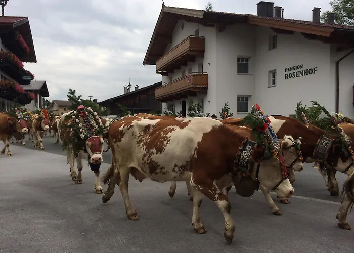 Pension Rosenhof